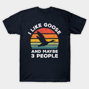 I Like Goose and Maybe 3 People, Retro Vintage Sunset with Style Old Grainy Grunge Texture T-Shirt